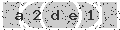 verify code
