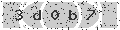 verify code