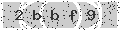 verify code