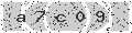 verify code