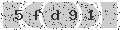 verify code