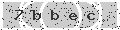 verify code