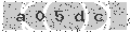 verify code