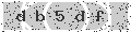 verify code