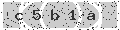 verify code