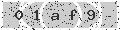verify code