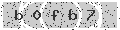 verify code