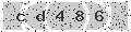 verify code