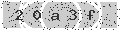 verify code