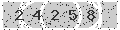verify code