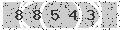 verify code
