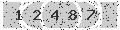verify code