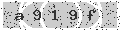 verify code