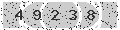 verify code