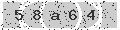 verify code