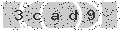 verify code