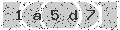 verify code