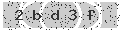 verify code