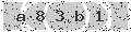 verify code