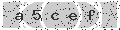 verify code