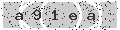 verify code