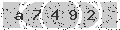 verify code