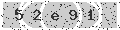 verify code