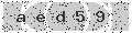 verify code