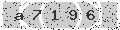 verify code