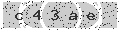 verify code
