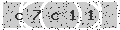 verify code