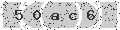 verify code
