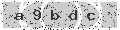 verify code