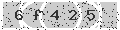 verify code