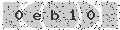 verify code