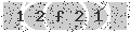 verify code