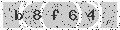 verify code