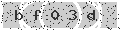 verify code