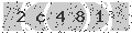 verify code