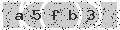 verify code