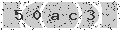 verify code
