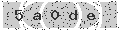 verify code