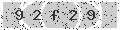 verify code