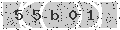 verify code
