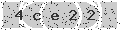 verify code