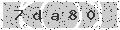verify code