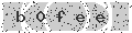 verify code