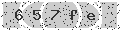 verify code