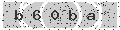 verify code