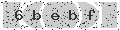 verify code